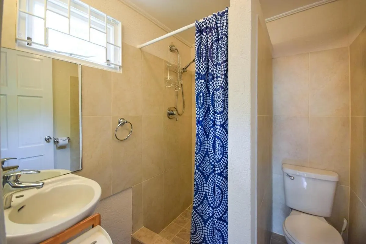 3 Min Walk To Beach - Blue Waters Apt 2 Apts By Bluescape Bridgetown Apartment